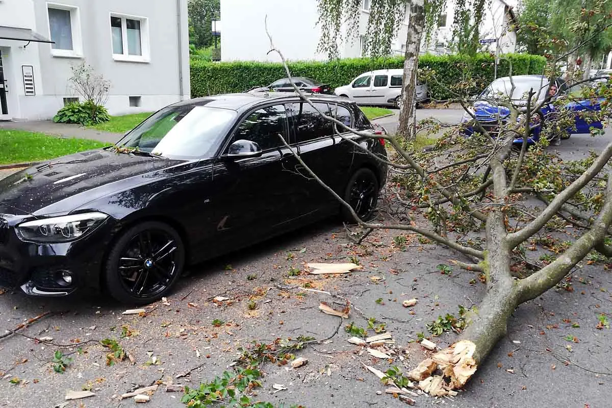 Bochum - Warnwetterlage mit Sturmböen