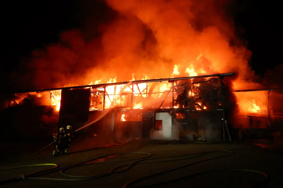 Brand Frauenfeld TG - Stallgebäude niedergebrannt