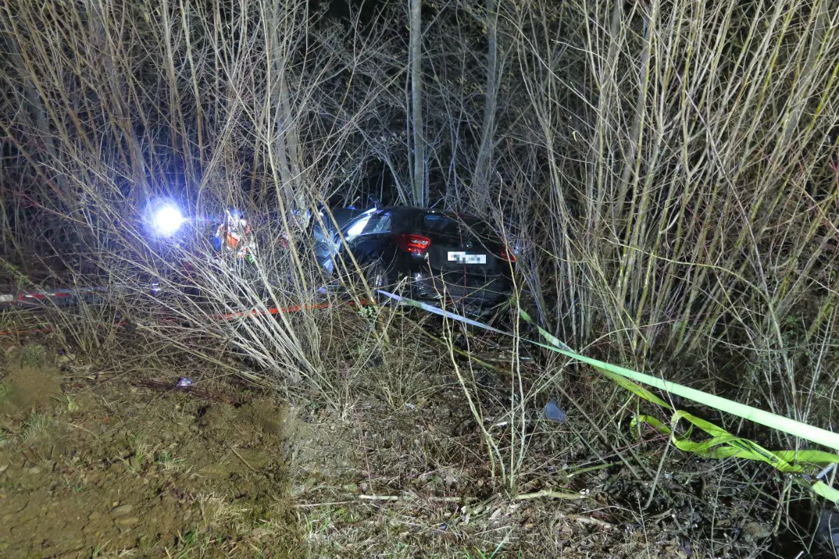 Sissach BL - Fahrzeuglenkerin baut Selbstunfall