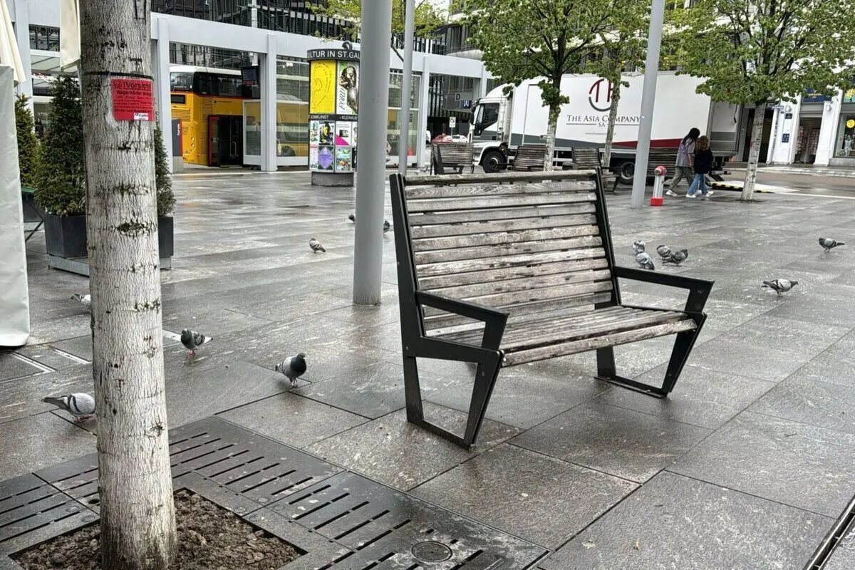 St.Gallen - Mehrere Ratten auf dem Kornhausplatz - Stadt ergreift Massnahmen