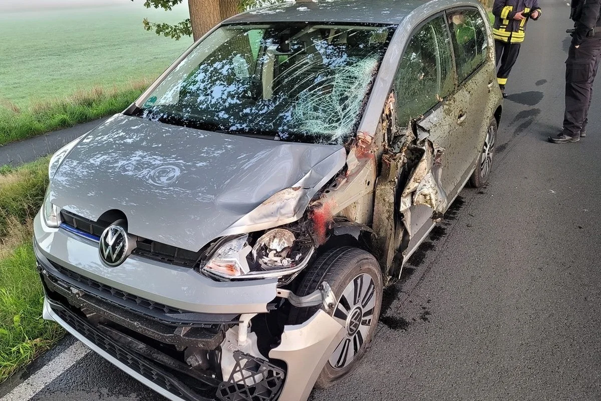 Ottingen NI - Zwei entflohene Pferde sterben beim Verkehrsunfall 