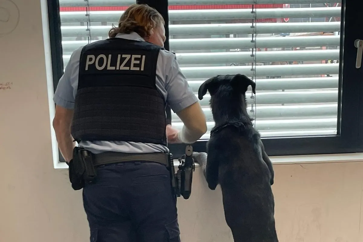 Köln - Zugfahrender Hund durch Bundespolizei an Halterin vermittelt