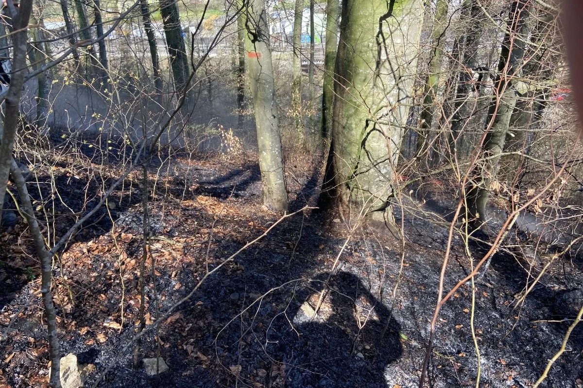 Tecknau BL - Waldbodenbrand erfordert Feuerwehreinsatz