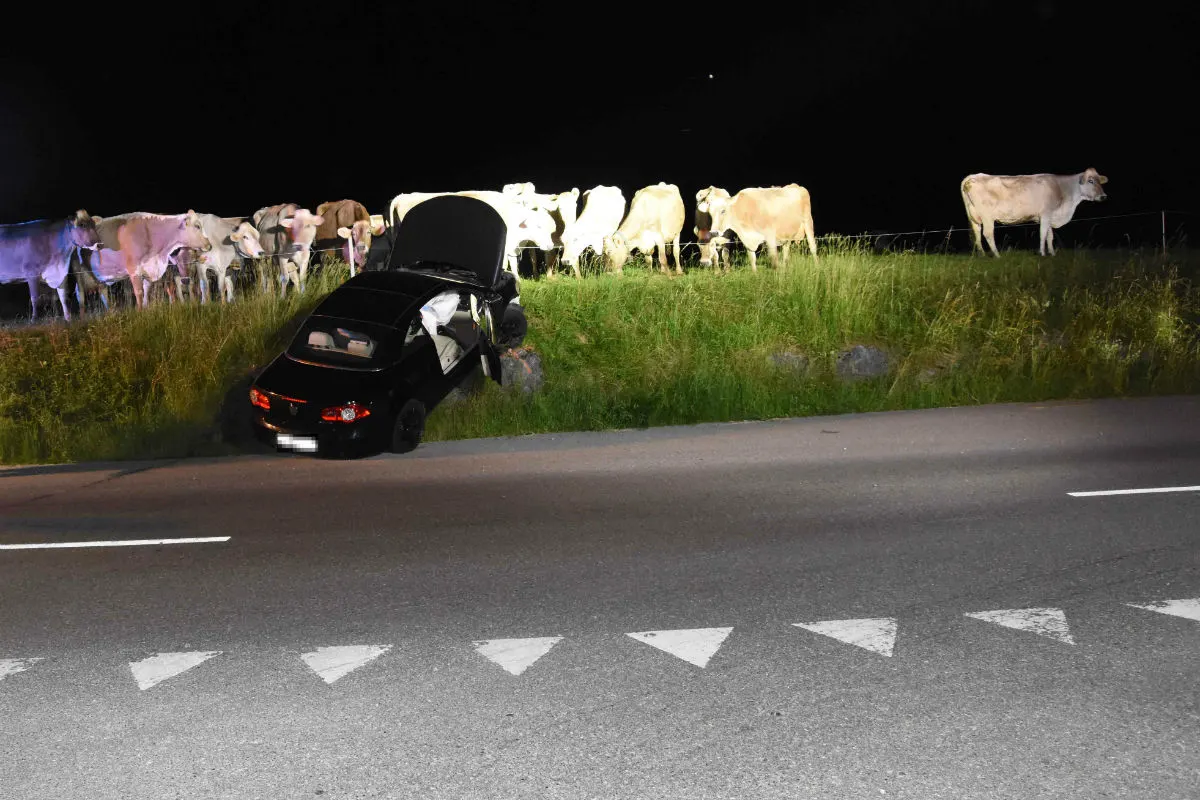 Kirchberg SG - 20-Jähriger angetrunken verunfallt