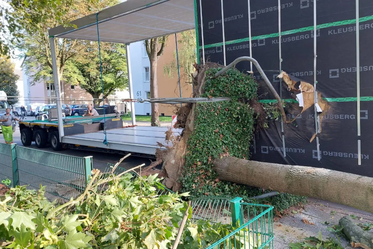 Dortmund – LKW reißt Baum um