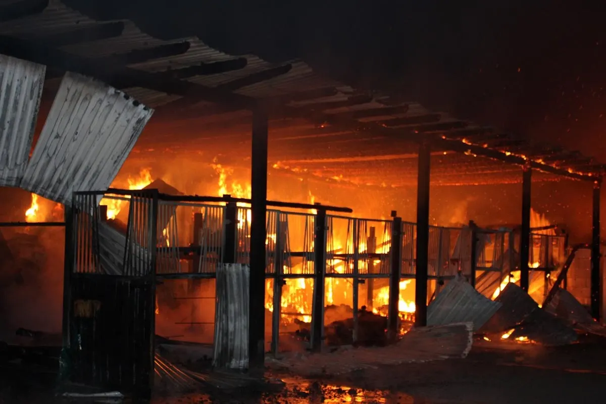 Bad Oeynhausen - Nach Feuer in Pferdestallungen: Polizei ermittelt wegen Brandstiftung