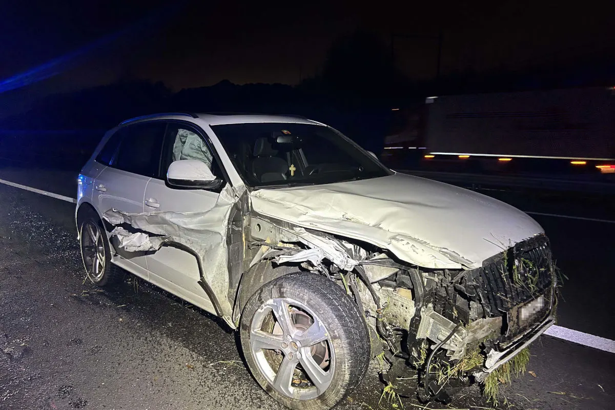 A1 Hunzenschwil AG – Übermüdeter Lenker verursacht Unfall