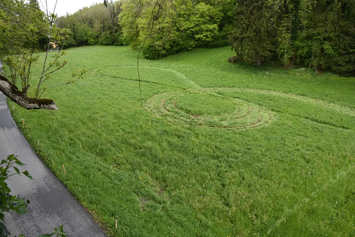 Mauren FL - Flurschaden auf Wiesland