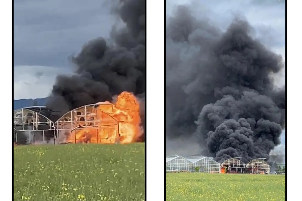 Aegerten: Ursache des Brandes in Lagerhalle nicht mehr zu bestimmen