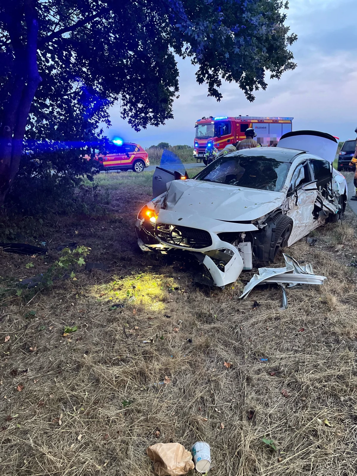 Ein stark beschädigtes Auto steht neben einem Baum auf einer Wiese. Im Hintergrund sind Feuerwehrfahrzeuge mit eingeschaltetem Blaulicht zu sehen.