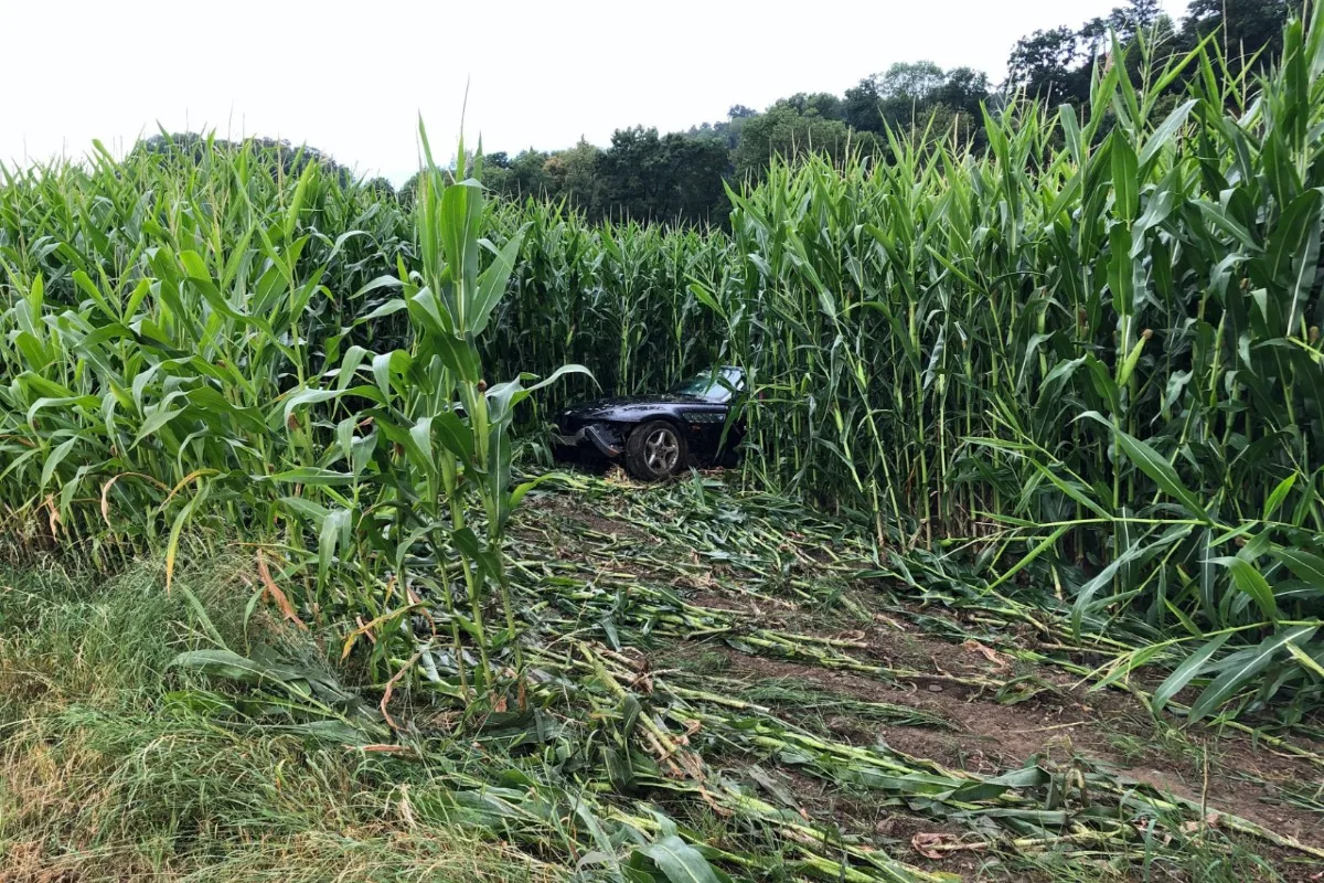 Schüpfen BE - Auto gerät auf der Autobahn A6 ins Schleudern und durchbricht Zaun