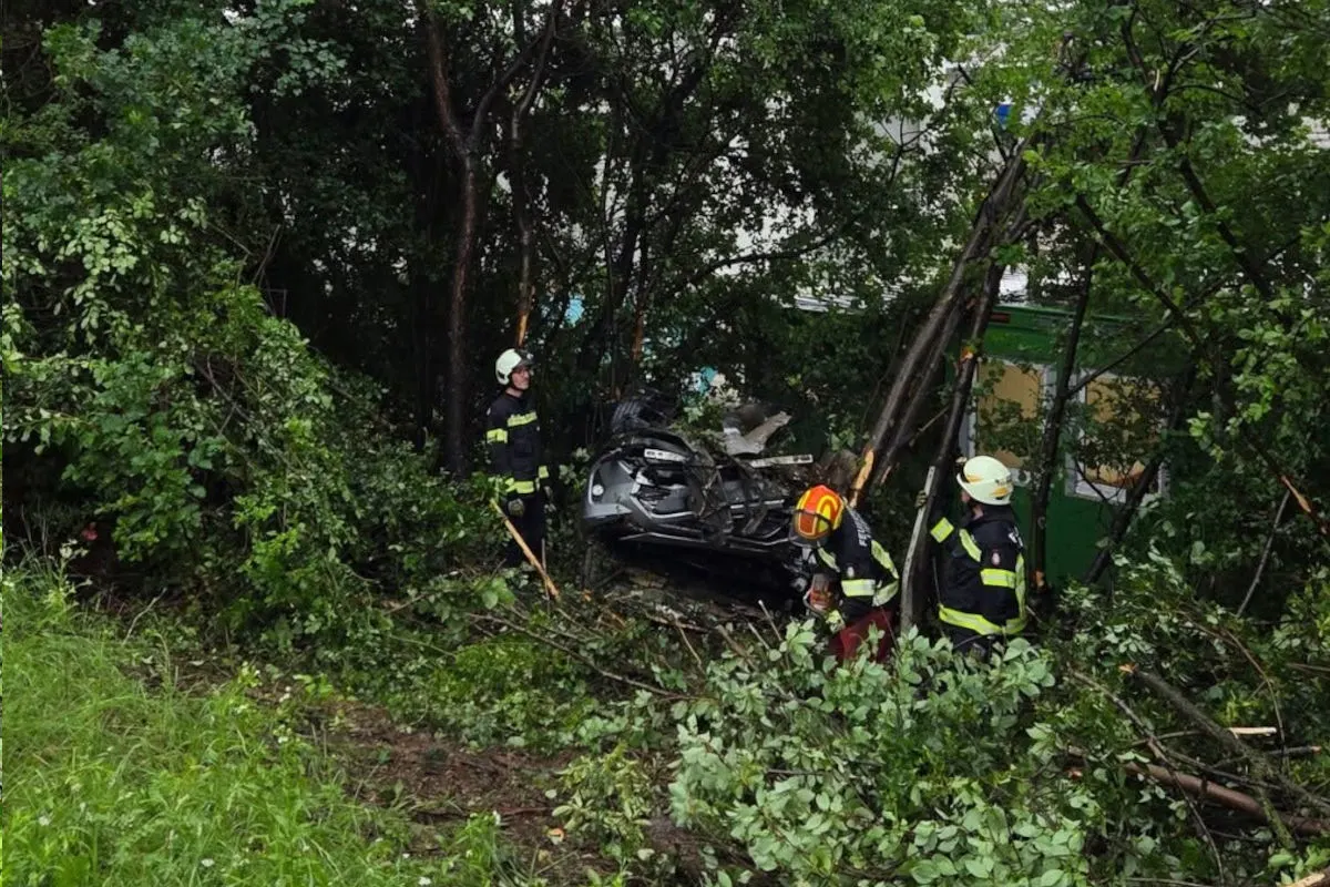 Drei Feuerwehrleute stehen um ein verunglücktes Auto, das in einen Wald gestürzt ist. Der Bereich ist von Bäumen und Gebüsch umgeben.
