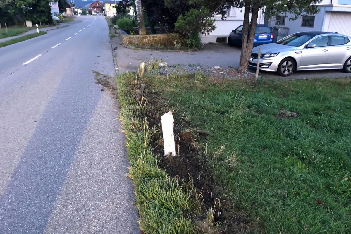 Ettiswil LU - Auto kollidiert mit Weidezaunpfosten