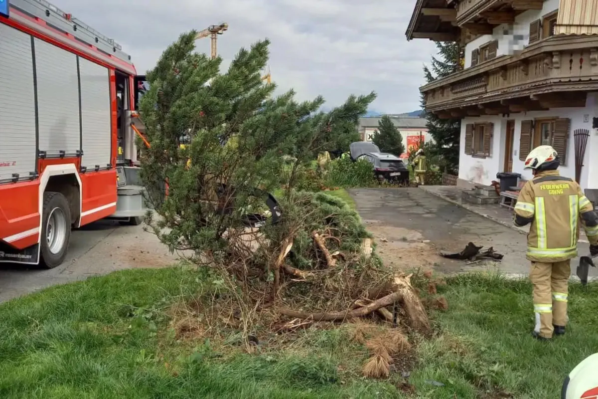 Ein rotes Feuerwehrauto steht nahe eines umgestürzten Baumes vor einem traditionellen Gebäude. Feuerwehrkräfte sind vor Ort.