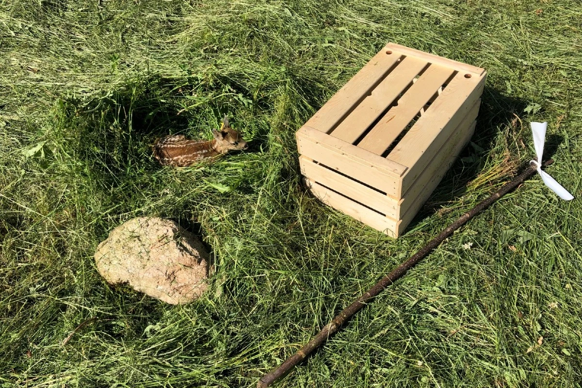 Tierische Rettung - Rehkitzrettung mit Drohnen erfolgreich