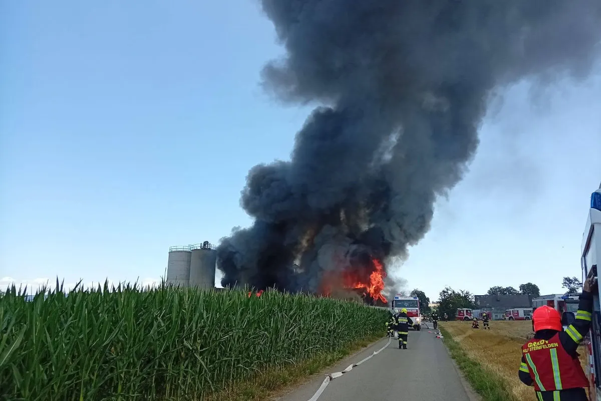 Ein großer Brand verursacht dichten schwarzen Rauch, während Feuerwehrleute auf einer Straße in der Nähe eines Feldes arbeiten. Im Hintergrund sind Löschfahrzeuge zu sehen.