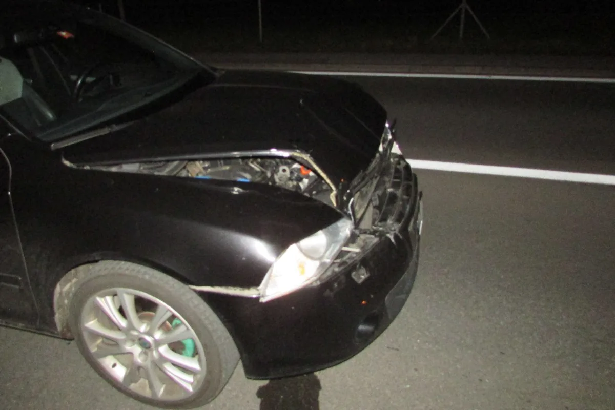 Unfall in Mitlödi GL - Auffahrkollision nach Wildtierunfall