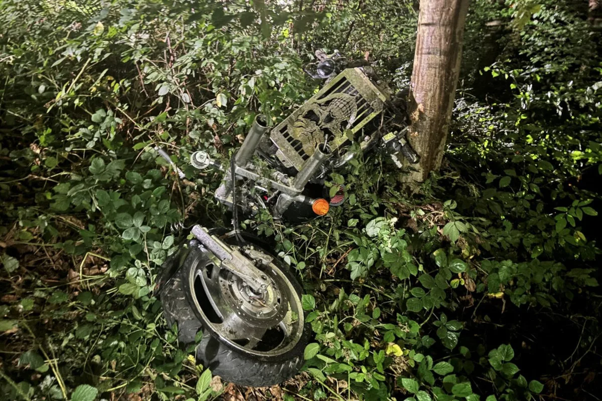 Ein beschädigtes Motorrad liegt im Gebüsch neben einem Baum. Der Vorderreifen ist vom Fahrzeugrahmen getrennt.