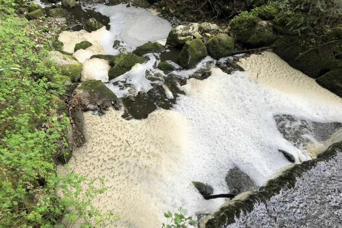 Heimenschwand BE - Fischsterben wegen Gülle im Bach