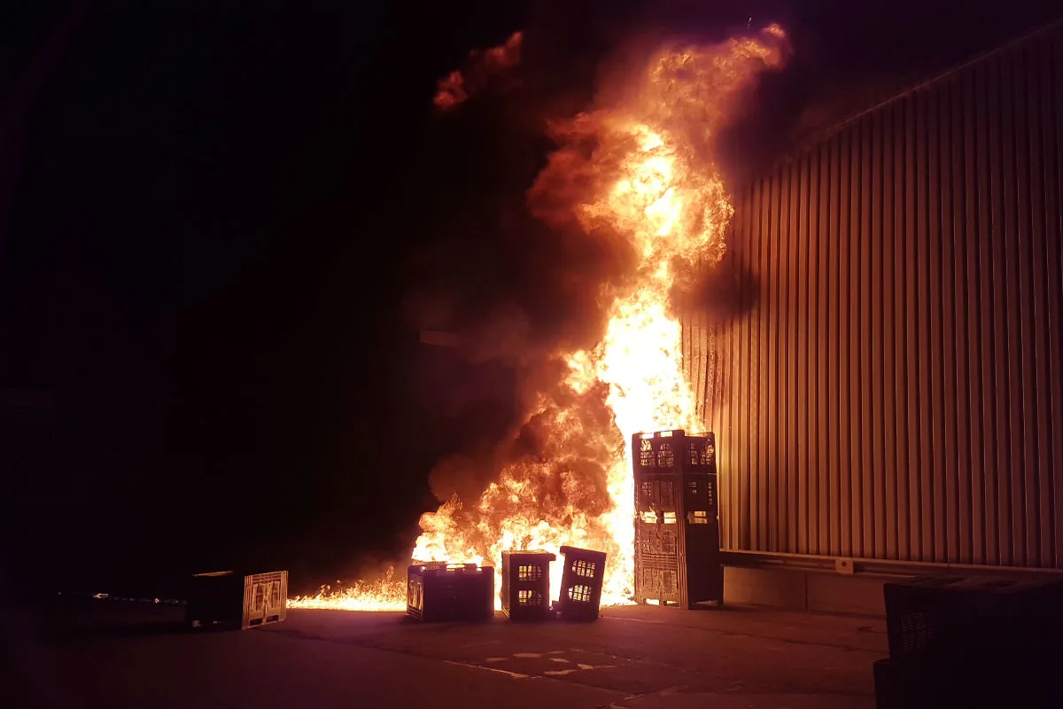 Oberaach TG - Paloxen in Brand gesteckt - Zeugenaufruf