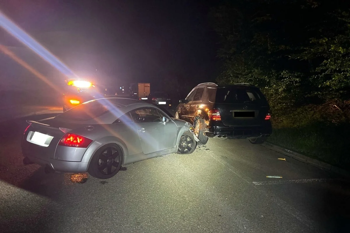 Unfall in Neuhausen am Rheinfall SH - Tier ausgewichen