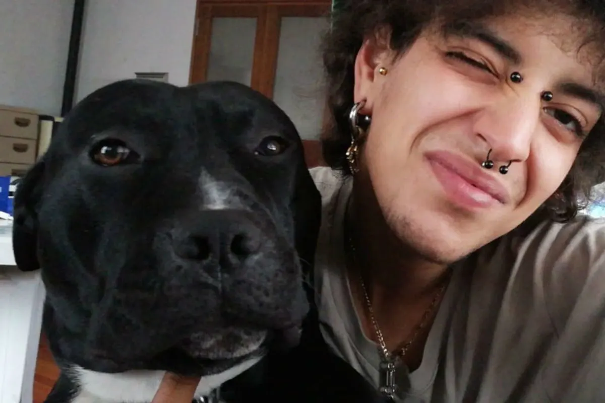 Nachspiel im Fall des erwürgten Pitbulls in Italien