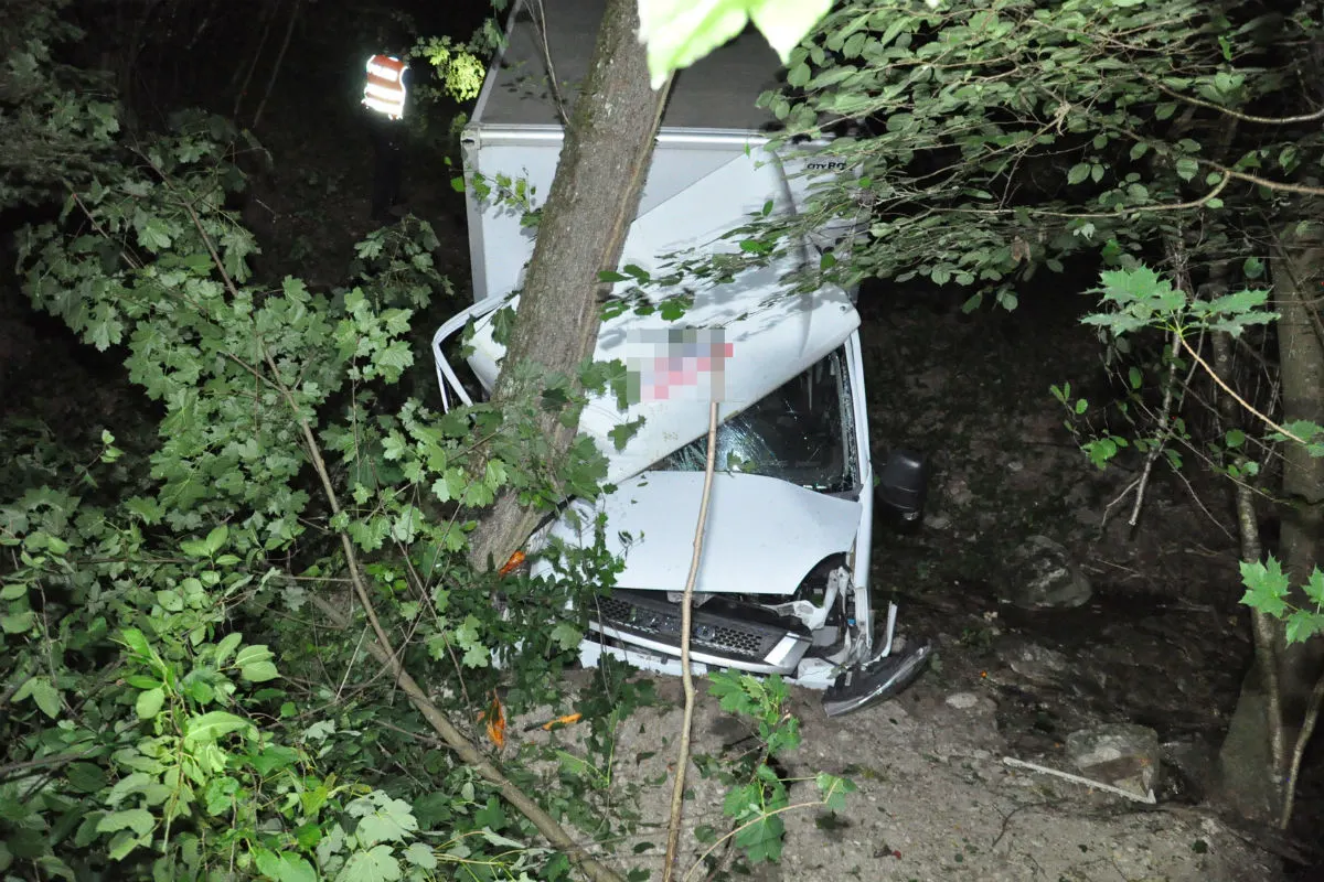 Günsberg SO - Lieferwagen prallt in Baum