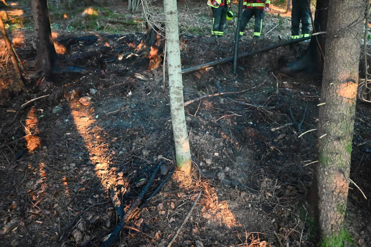 Ein Teil des Waldbodens ist stark verbrannt, im Hintergrund stehen Feuerwehrleute in Einsatzkleidung.