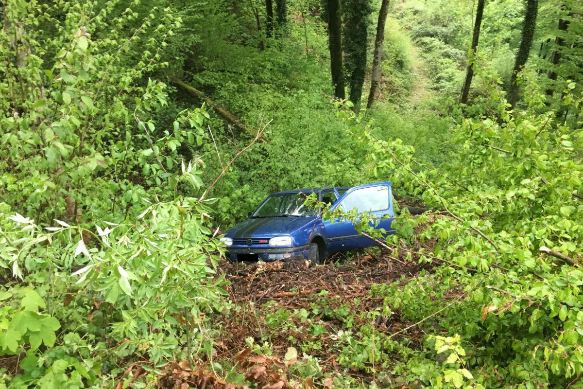 Grellingen BL - Reh ausgewichen und verunfallt
