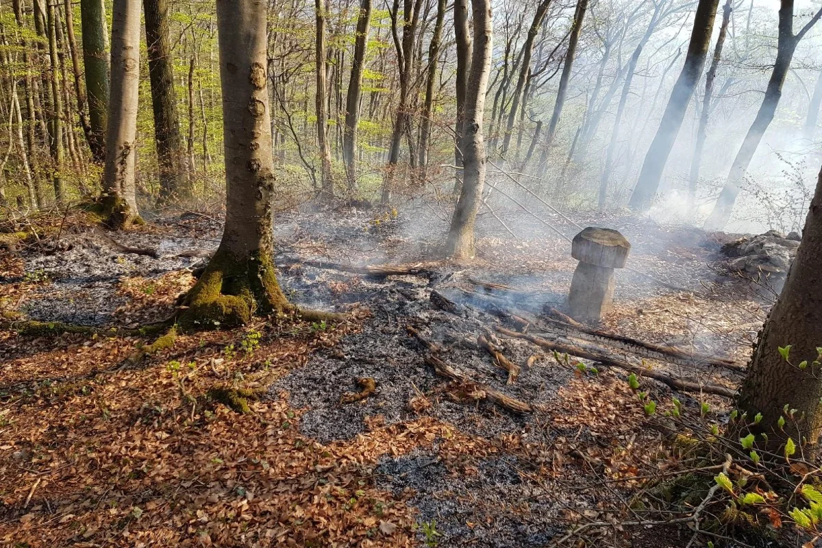 Nenzlingen BL - Waldbodenbrand erfordert Feuerwehreinsatz - offenes Feuer wohl der Auslöser