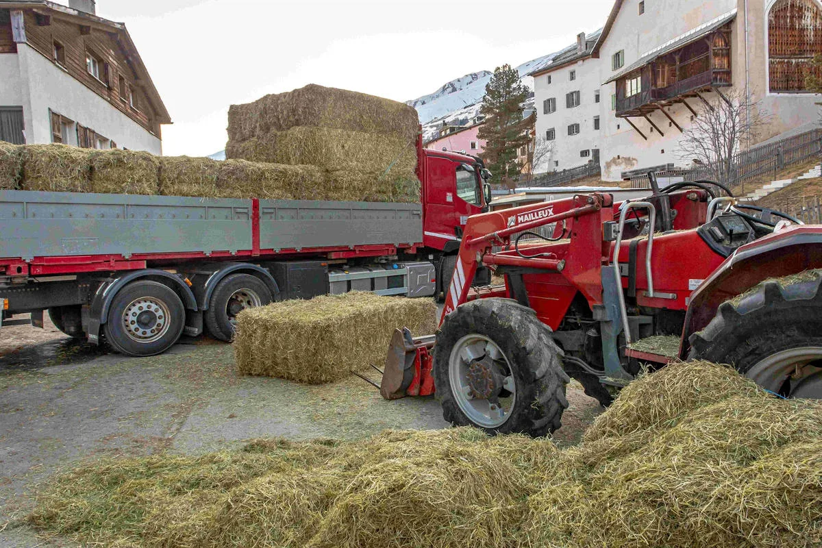 Drama in S-chanf GR – Landwirt durch Heuballen erschlagen worden