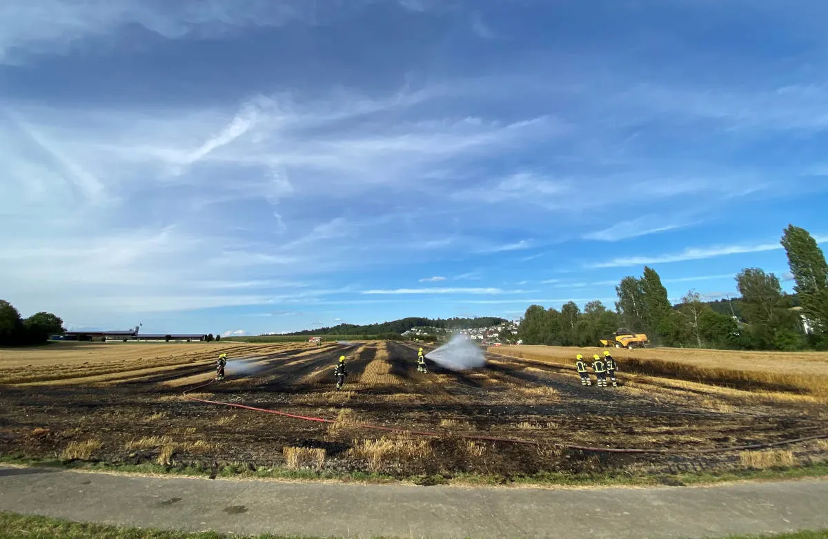Sarmenstorf AG – Flächenbrand während Mäharbeiten 