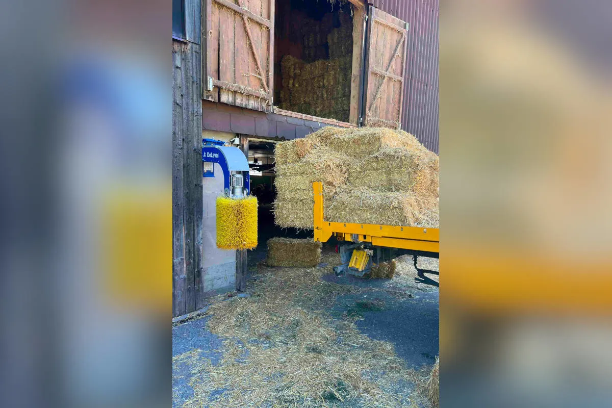Stein SG – Bei Arbeitsunfall von Lastwagen gestürzt