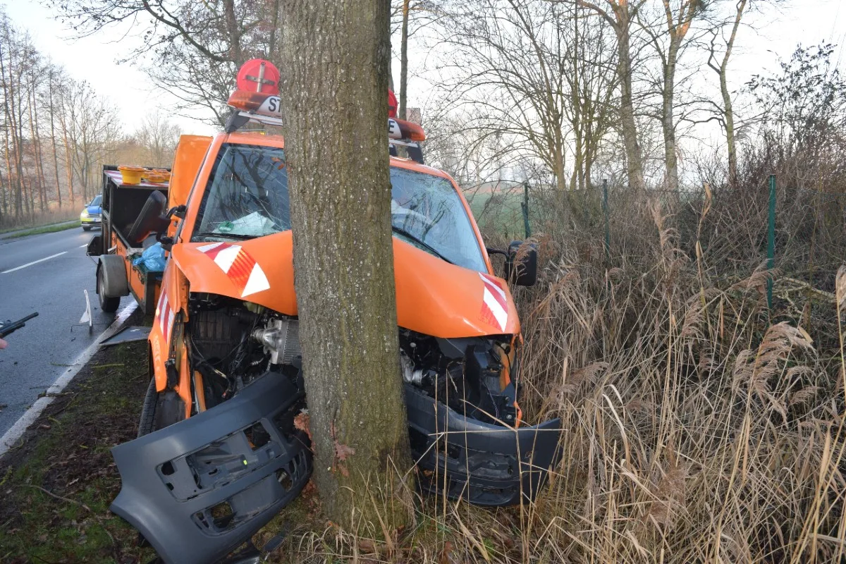 Wangerland – Mit voller Wucht in den Baum geprallt