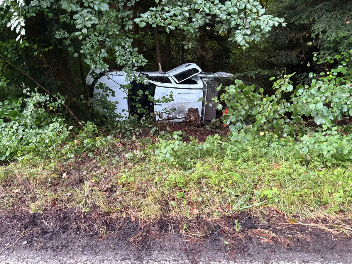Ein weißer Transporter ist von der Straße abgekommen und im Wald umgekippt. Bäume und dichtes Gebüsch umgeben das Fahrzeug.