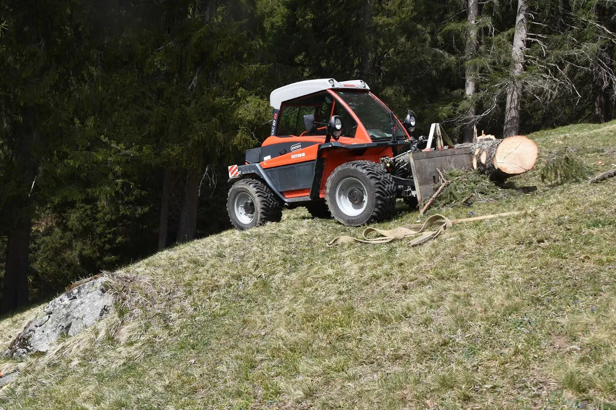 Klosters GR – Mann beim Holzen tödlich verunglückt