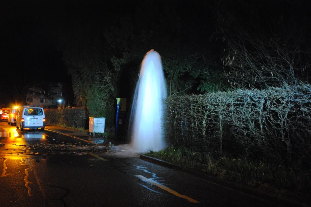 Schaffhausen - Auto kollidiert mit Hydrant - Gärtnerei unter Wasser