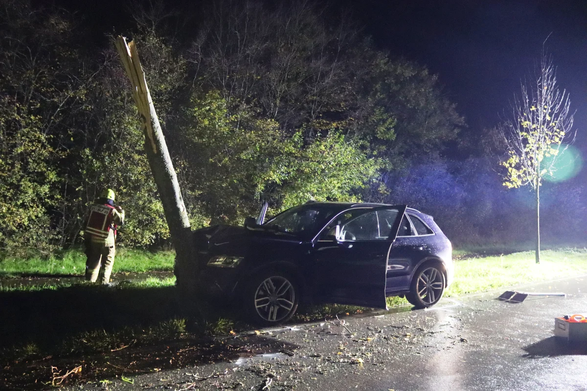 Gangelt-Birgden – Fahrer nach Kollision mit Baum verletzt