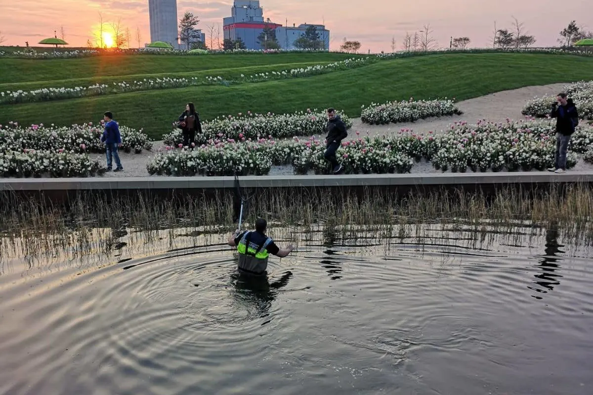 Enten aus See gerettet