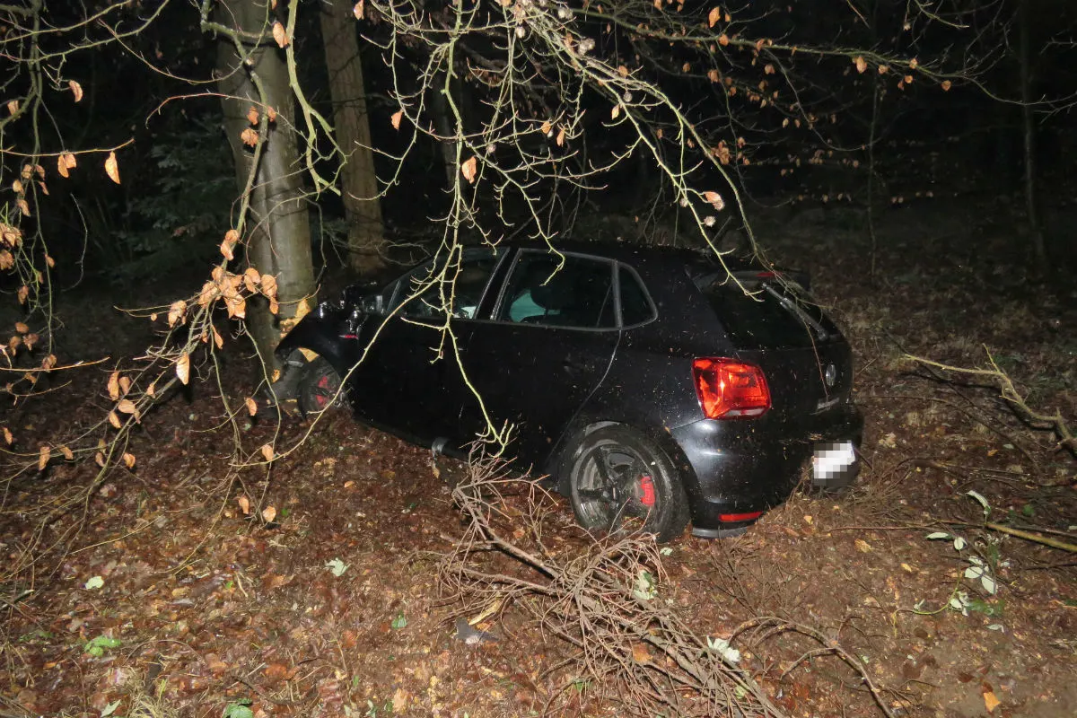Buchs AG - Mit Baum kollidiert