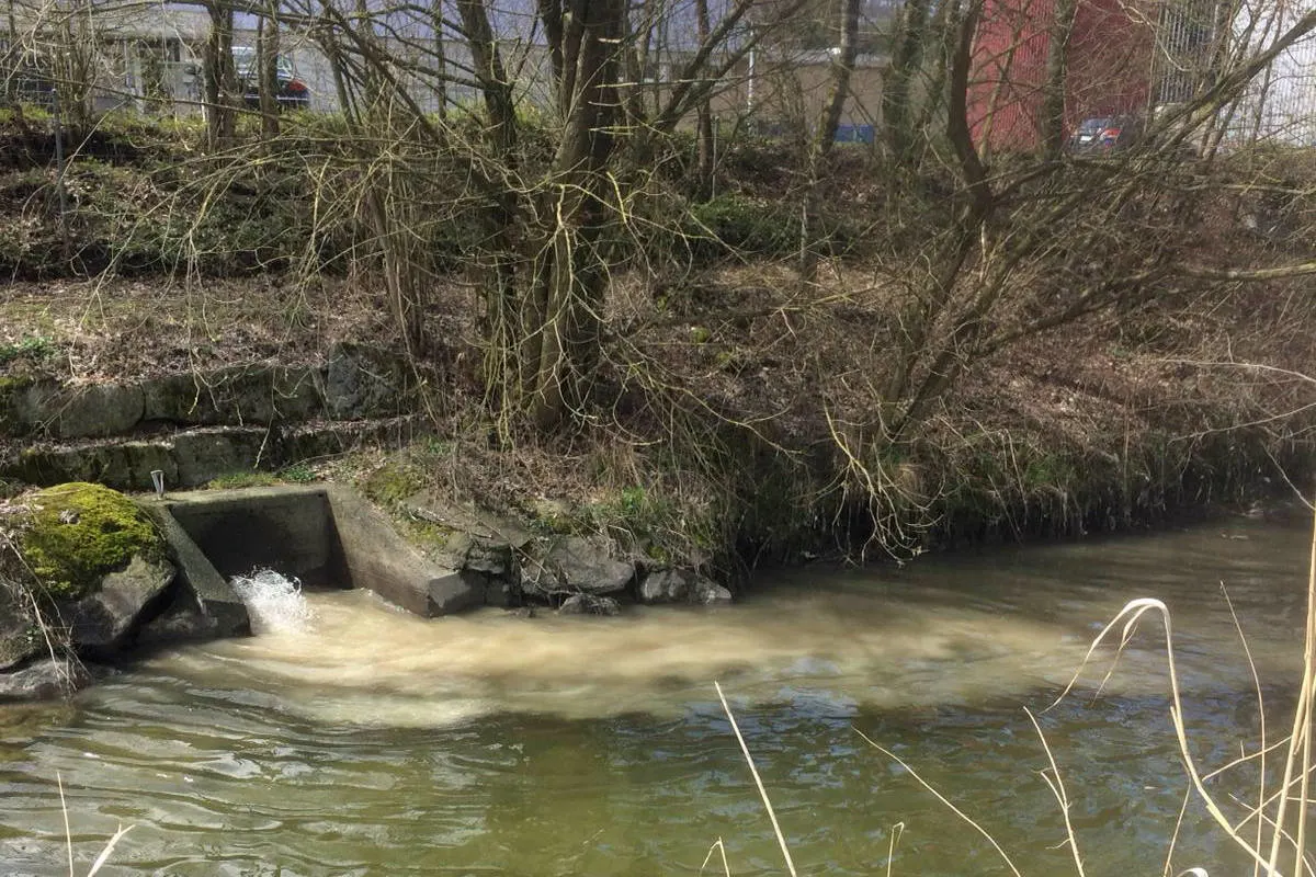 Triengen LU - Verschmutztes Abwasser gelangte in die Sure