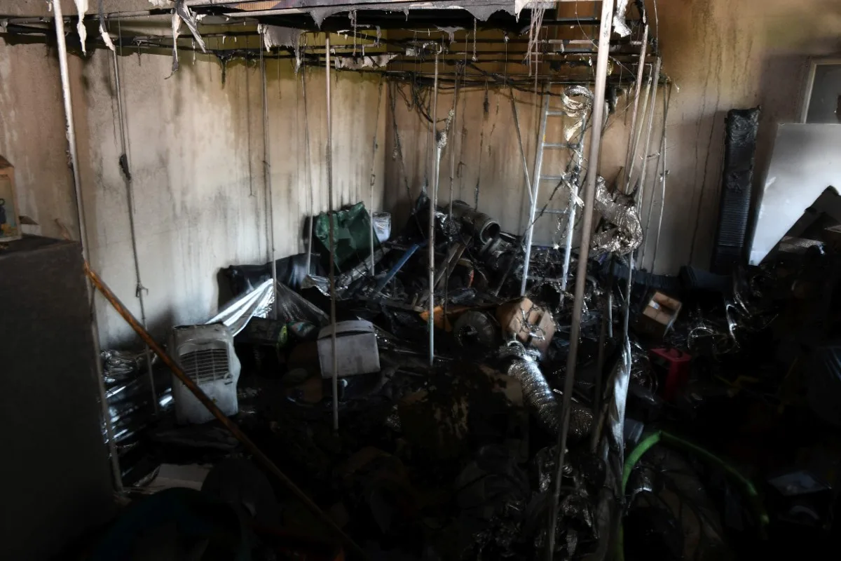 Wohlen AG - Wegen Brand auf Hanf-Indooranlage gestossen