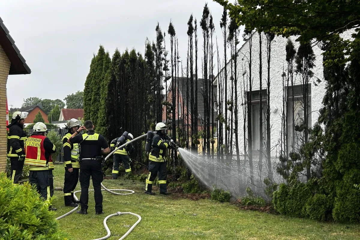 Zeven NI - Hecke durch Gasbrennerarbeiten zerstört 