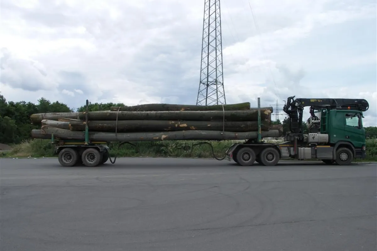 Wittlich -  Holztransport mit über 50 Tonnen heute auf BAB A-1 gestoppt