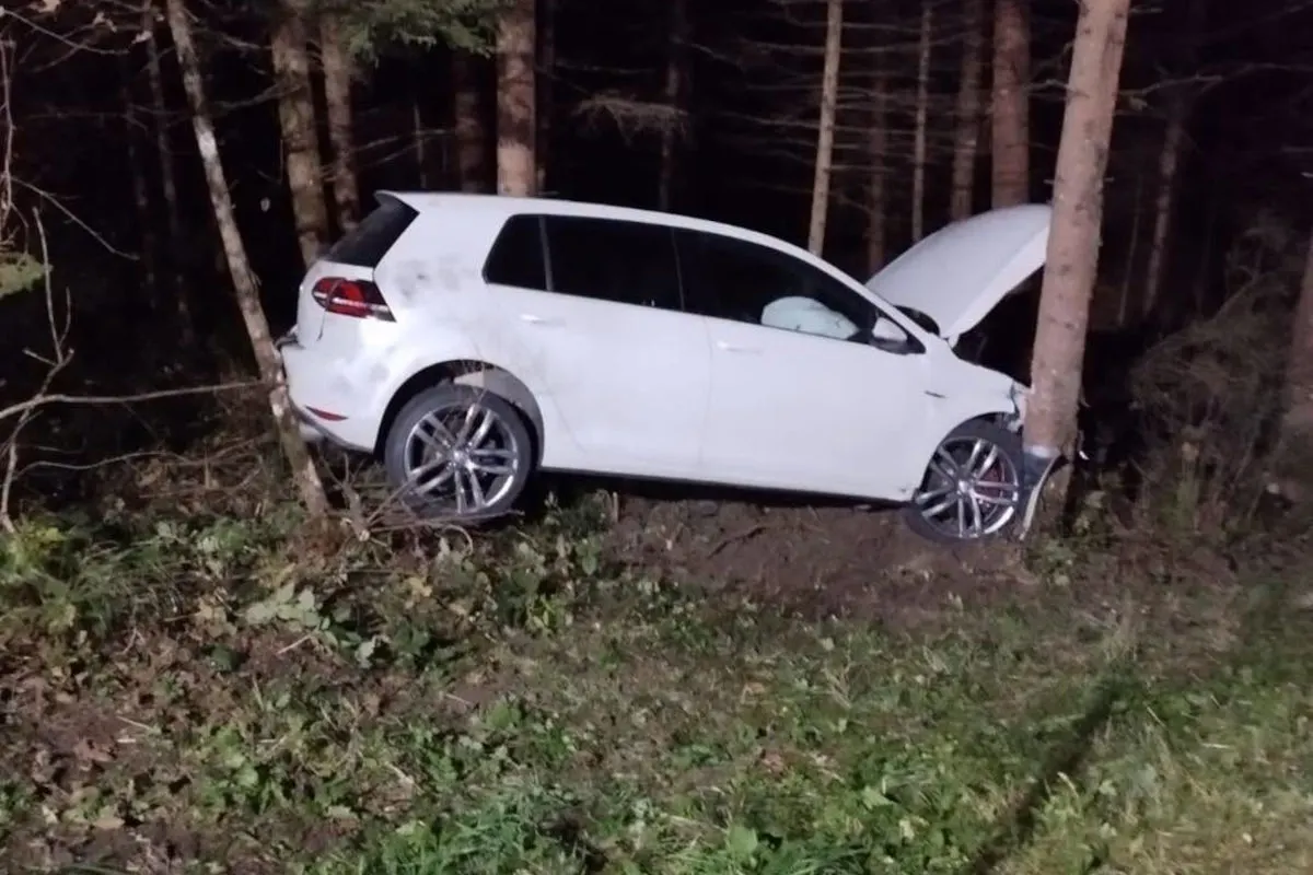 Ein weißes Auto ist im Wald gegen einen Baum geprallt. Der Wagen hat eine geöffnete Motorhaube und steht auf unbefestigtem Boden.