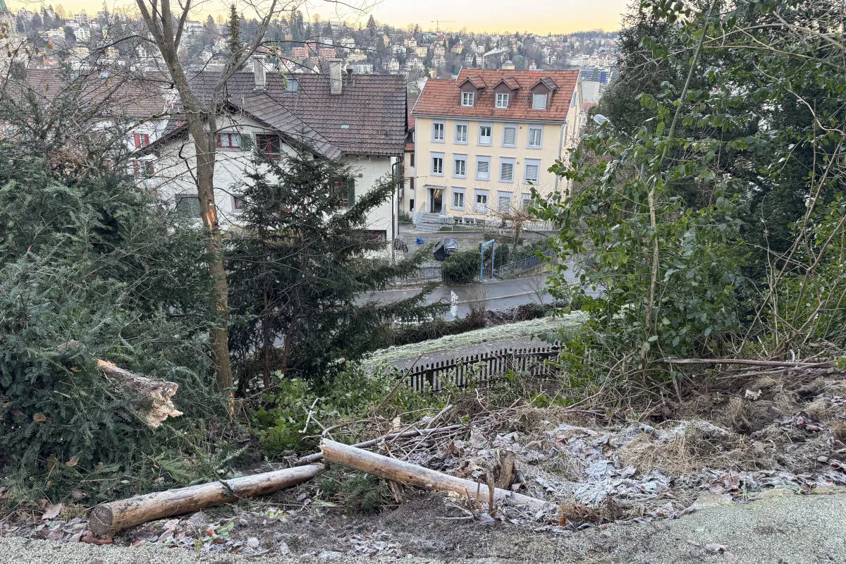 St.Gallen – Ungenügend gesicherter Lastwagen rollt in Böschung