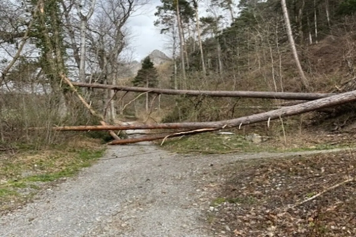 Chur GR - Sturmböen sorgen für Chaos und viele Einsätze
