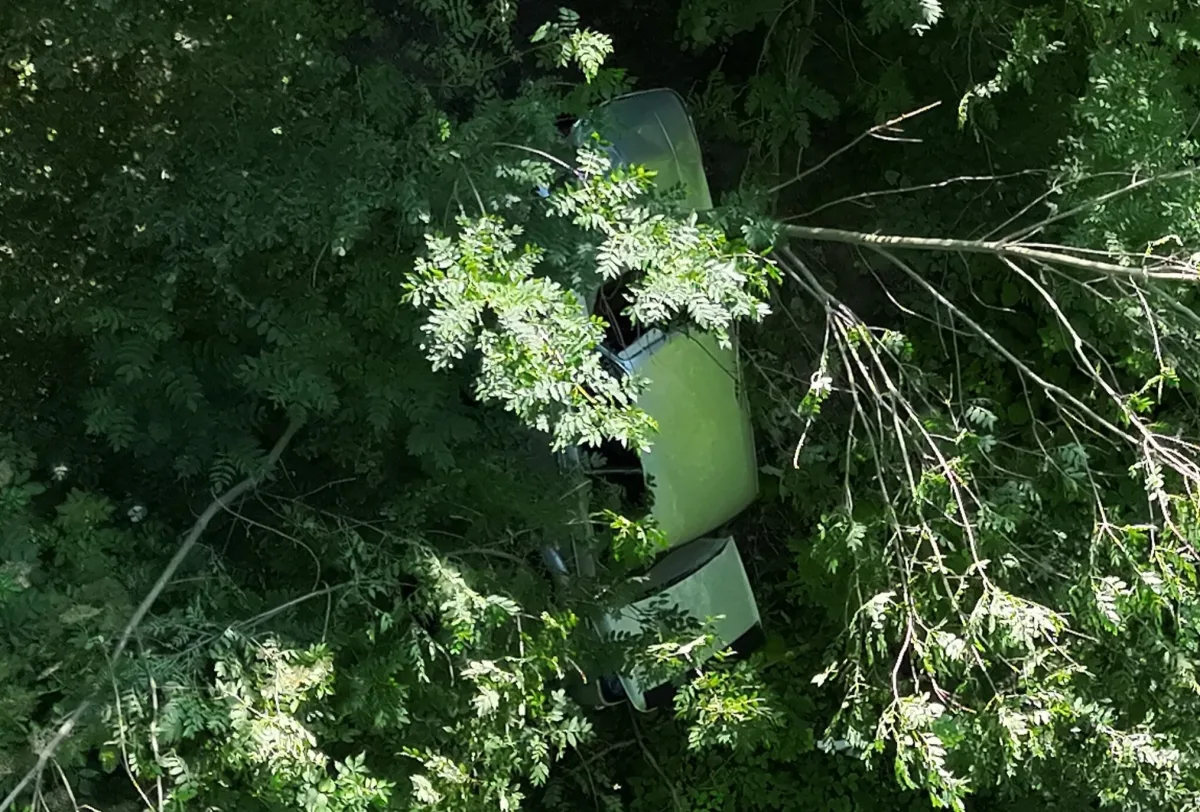 Ein Auto ist von oben fotografiert, größtenteils von Bäumen und Ästen verdeckt. Nur Teile des Autos sind sichtbar.