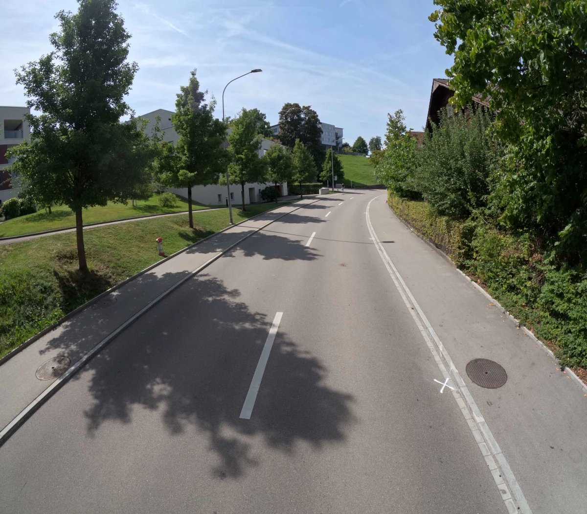 Ein Bild einer leeren Straße in einem Wohngebiet mit Bäumen links und Gebäuden im Hintergrund.
