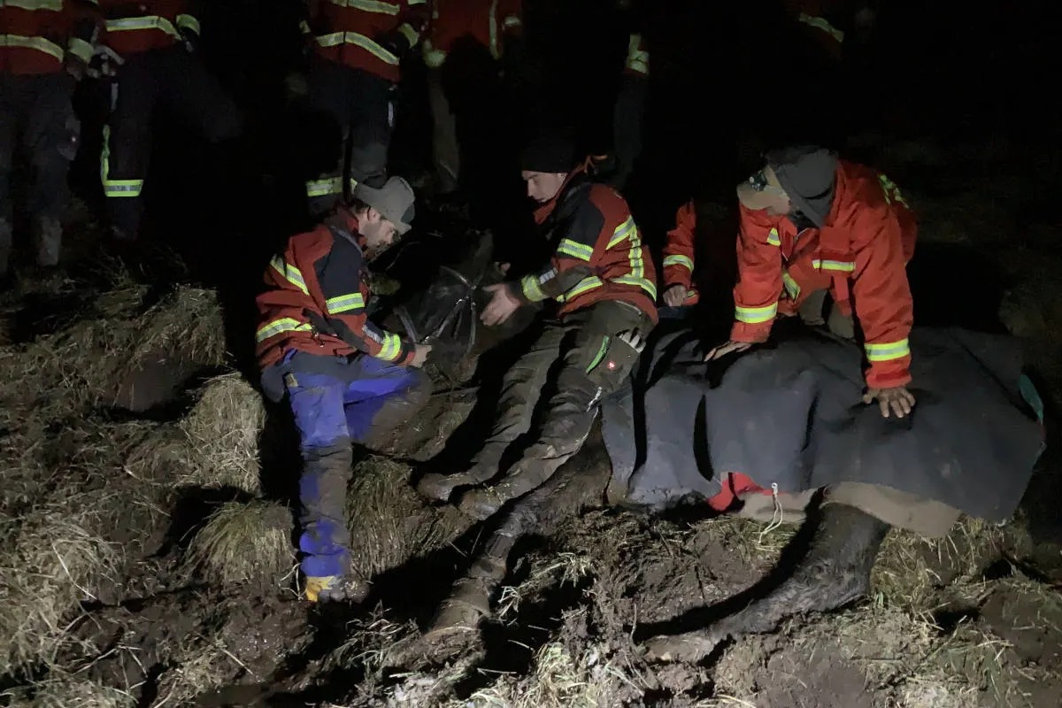 Simmental BE – Spezieller Rega-Einsatz für Pferd in Not